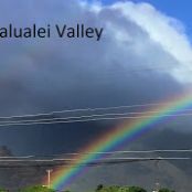 English Muffin Bread